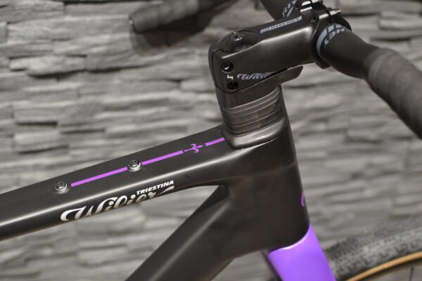 -20% Wilier Adlar – Bild 6