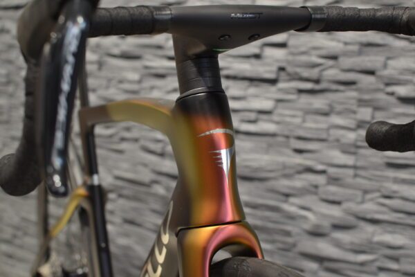 Pinarello Dogma F 2025 – Bild 6